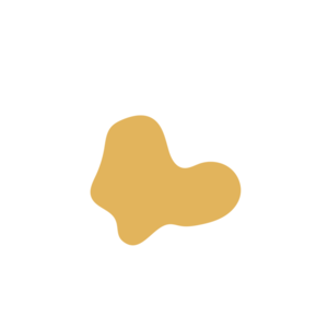 D23dfa16-placeholder-1770012486