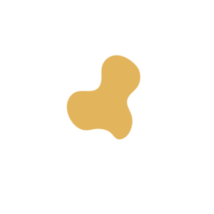 23006f94-placeholder-1770032190