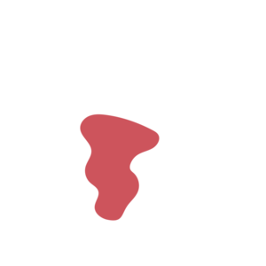 9ae675d5-placeholder-1770009516