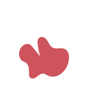 A3653495-placeholder-1770052680