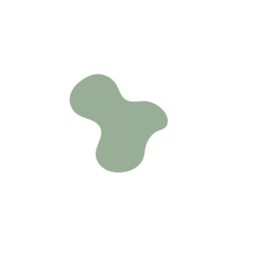 566872f1-placeholder-1770143950