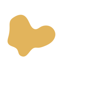 3a87bfc0-placeholder-1769101786