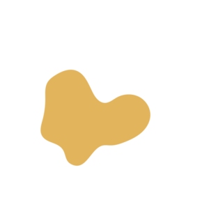 0f8a9861-placeholder-1770009688