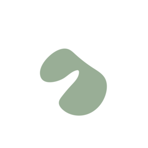 31db51de-placeholder-1770007210