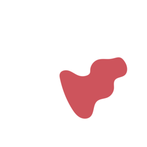 090d5c73-placeholder-1770014673