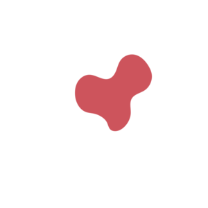 Beb2db35-placeholder-1770018883