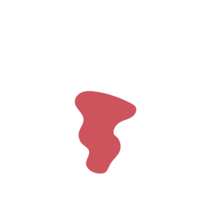 126155a7-placeholder-1770051967