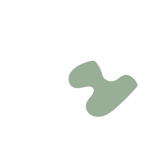 Ab3f7b3b-placeholder-1770007855