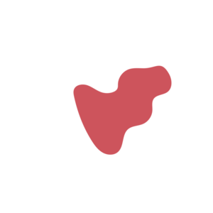 09b68ee2-placeholder-1770010521