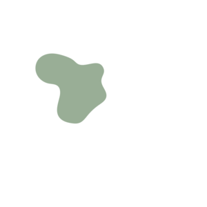 C726d410-placeholder-1770024493