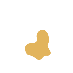 94255dce-placeholder-1770052551