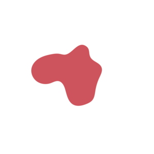 8e6d1f97-placeholder-1769192531