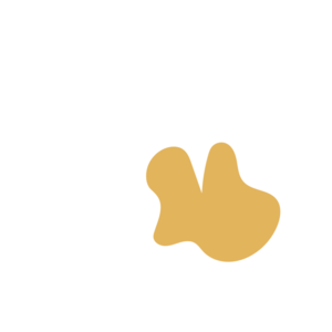 B7cb9776-placeholder-1770005614