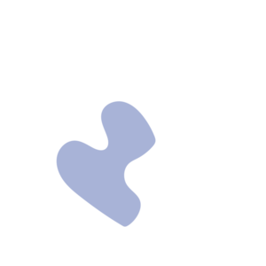 B55566a9-placeholder-1770005636