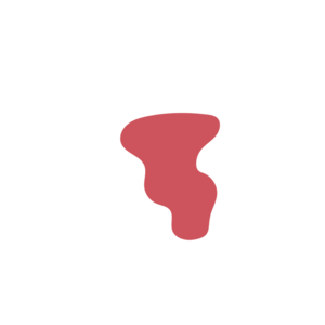 25a79bf4-placeholder-1770055098