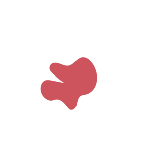 3192e0df-placeholder-1770007803