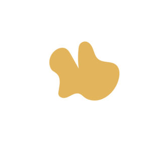 992e2b93-placeholder-1770040437