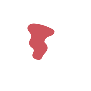 2d7df351-placeholder-1770018228