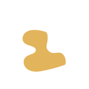 Ead1fa6e-placeholder-1770031388