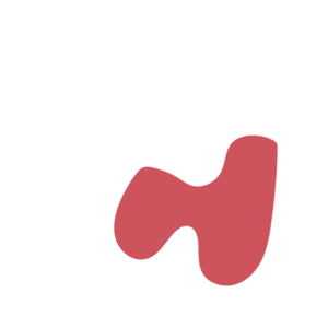 E8a631ed-placeholder-1770026307