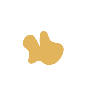 4a5d7f18-placeholder-1770021167