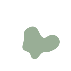 497c6541-placeholder-1770020058