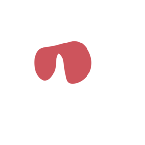 5a5314a9-placeholder-1770018708