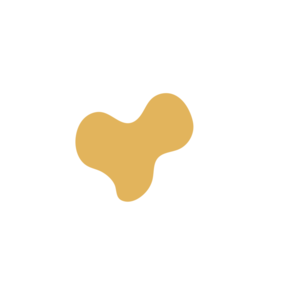 B5bc1a21-placeholder-1770009515