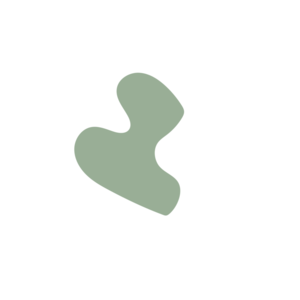 07d8124b-placeholder-1770009121