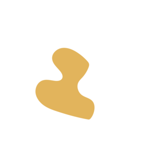 03f376d7-placeholder-1770037480