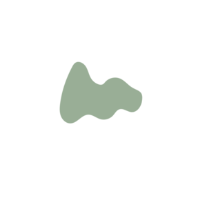 F2cccb40-placeholder-1770008722