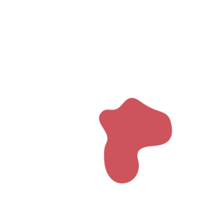 Cfca3b88-placeholder-1770022386