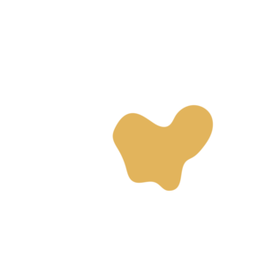 1271b96d-placeholder-1770026928