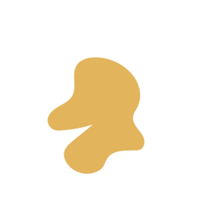 498a81e8-placeholder-1770016520