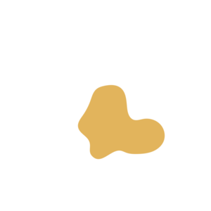 F60d8b84-placeholder-1769192531