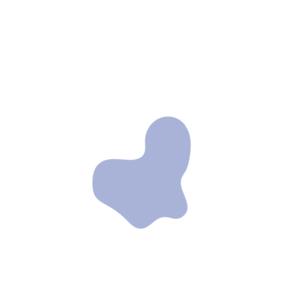 6358fa21-placeholder-1770022394