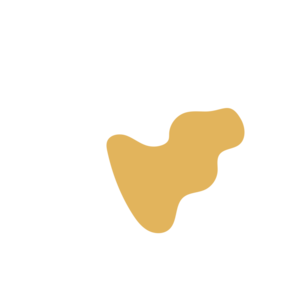 A16988e3-placeholder-1770054629