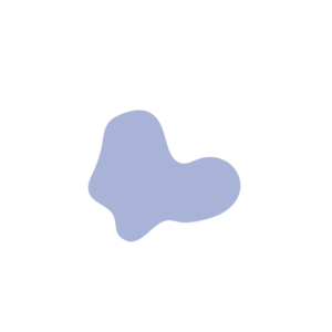 90803701-placeholder-1770012918