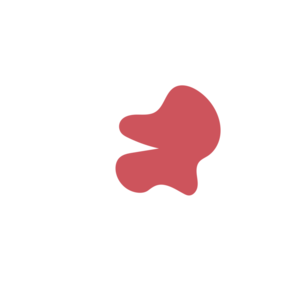 2242ad25-placeholder-1770017945