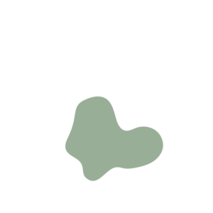 93f12293-placeholder-1770006267