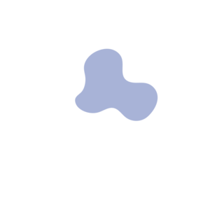 B49270b9-placeholder-1770006923