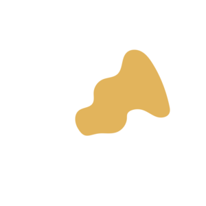 35a7b883-placeholder-1770026797