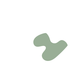 Cc523fc3-placeholder-1770017437