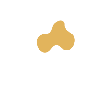 E1a00716-placeholder-1770025760