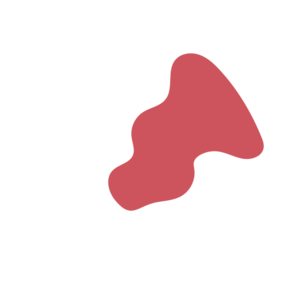 E6ecf861-placeholder-1770005652