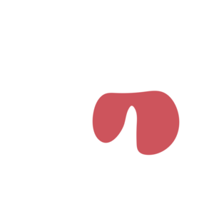 6ca7c4c6-placeholder-1770030906