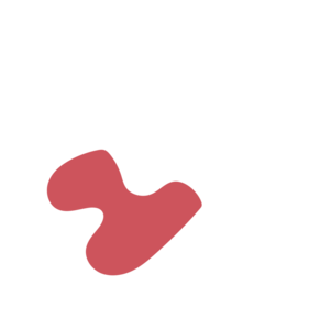 95b9985f-placeholder-1770012731