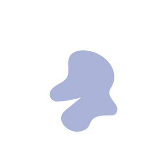 32b46067-placeholder-1769324074