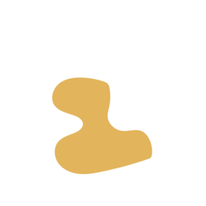 A1fde050-placeholder-1770014982