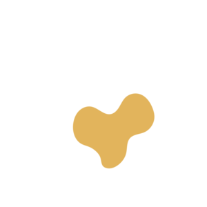 54c88925-placeholder-1770055510